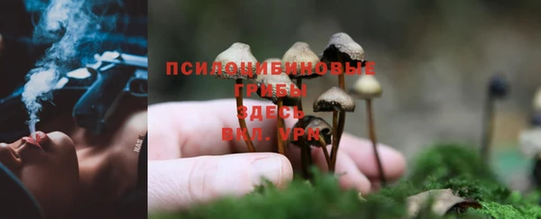 MDMA Алексеевка